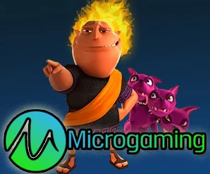 micro img